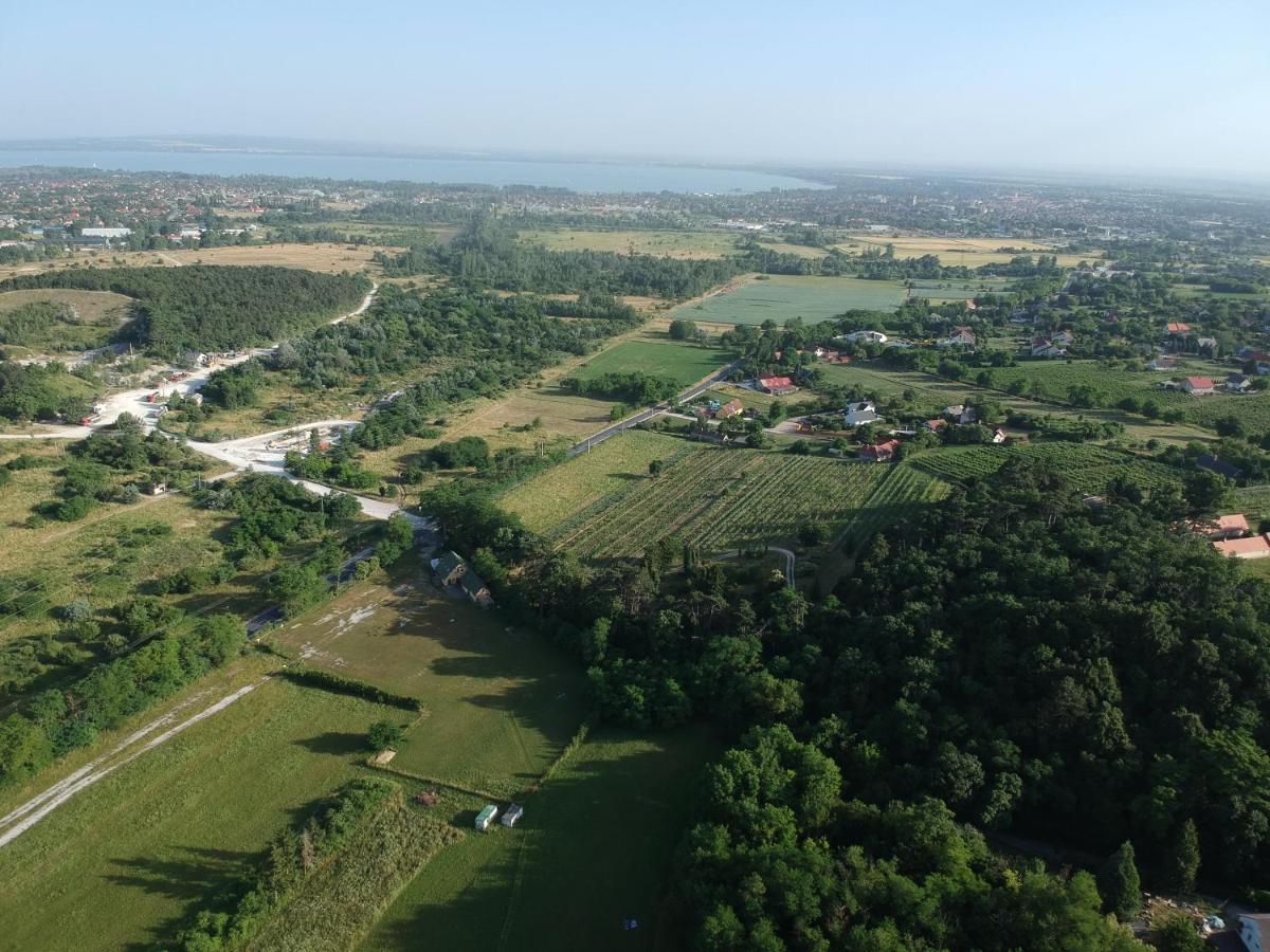Pilikan Apartments - Park, Agroturism, Vineyard & Farm チェーセクトマイ エクステリア 写真