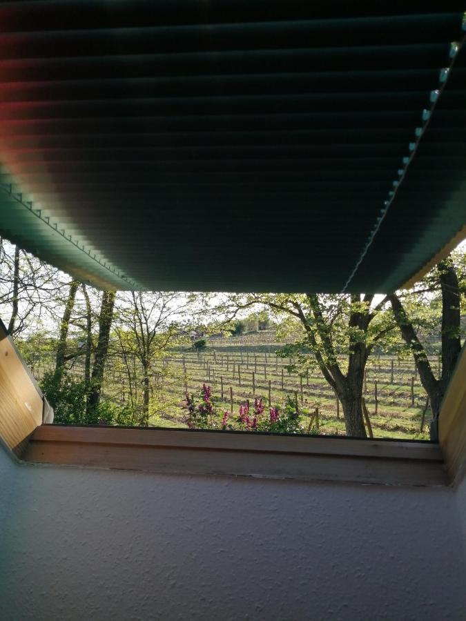 Pilikan Apartments - Park, Agroturism, Vineyard & Farm チェーセクトマイ エクステリア 写真