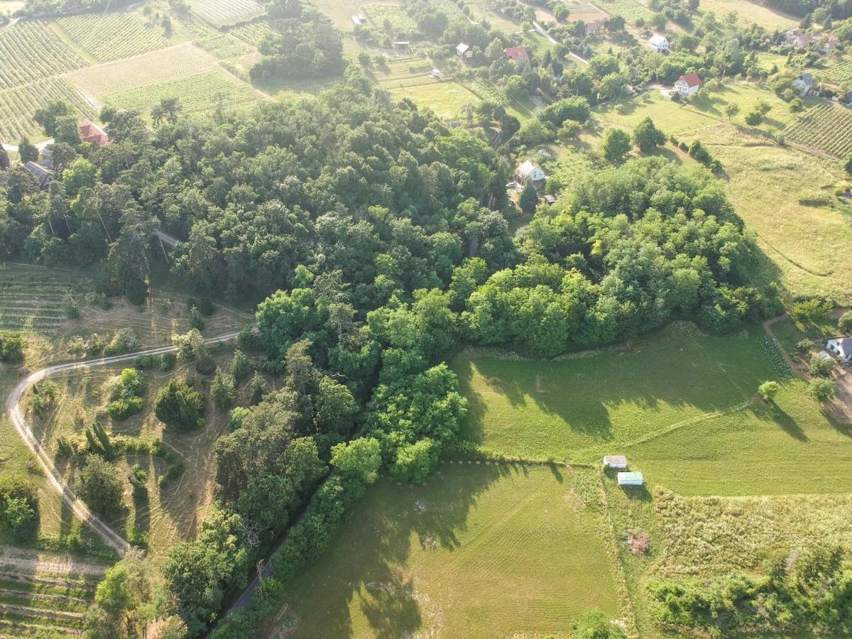 Pilikan Apartments - Park, Agroturism, Vineyard & Farm チェーセクトマイ エクステリア 写真