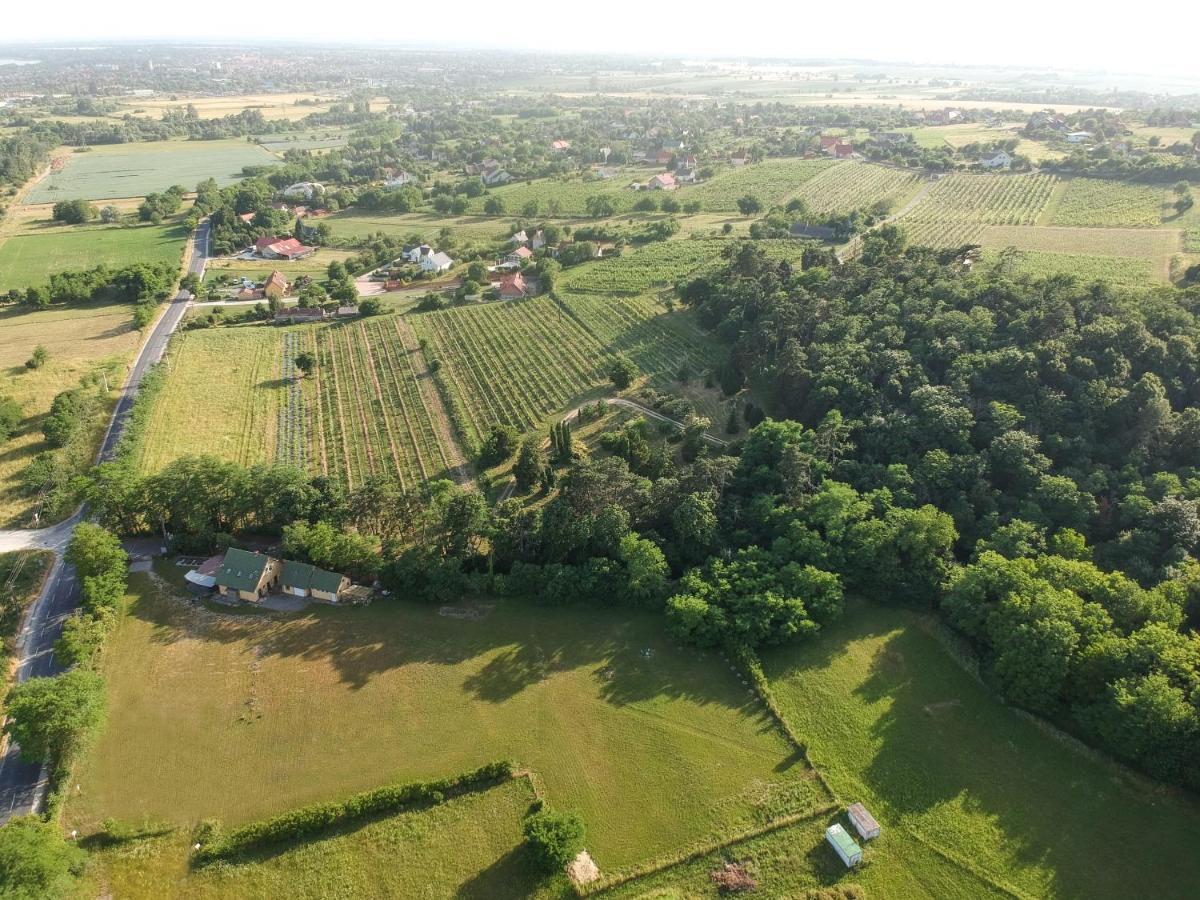 Pilikan Apartments - Park, Agroturism, Vineyard & Farm チェーセクトマイ エクステリア 写真