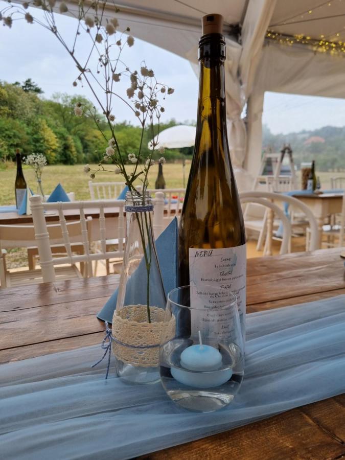 Pilikan Apartments - Park, Agroturism, Vineyard & Farm チェーセクトマイ エクステリア 写真
