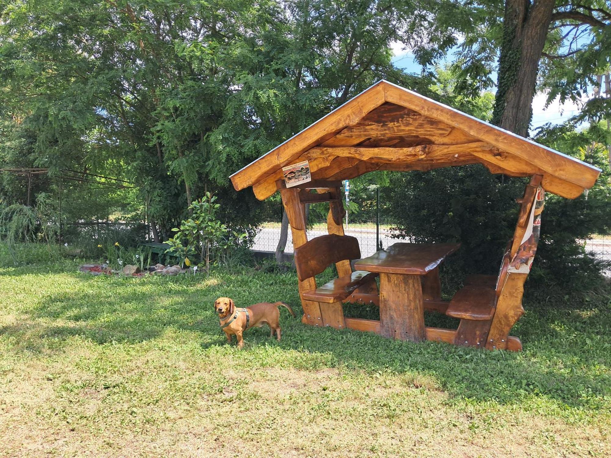 Pilikan Apartments - Park, Agroturism, Vineyard & Farm チェーセクトマイ エクステリア 写真